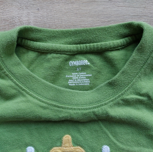 Gymboree plane tee 5t - Picture 5 of 16